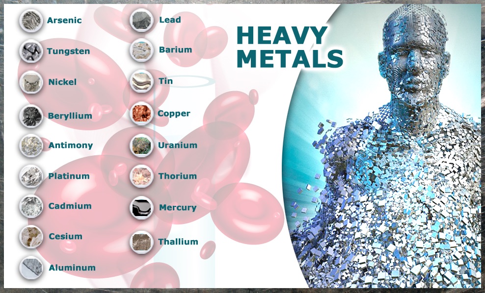 Heavy Metal Toxicity Sources Signs And Symptoms Paula Owens
