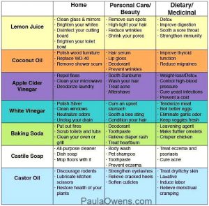 Paula Owens DIY Natural Beauty Recipes for Hair, Skin and Body 3