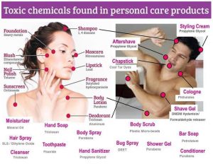 Paula Owens DIY Natural Beauty Recipes for Hair, Skin and Body 2