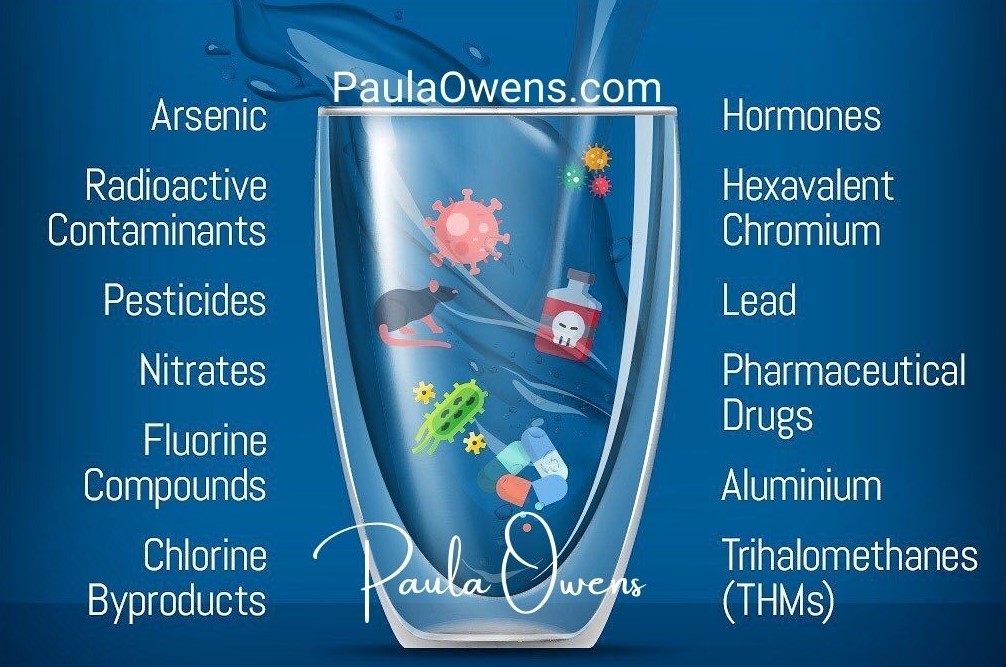 Toxins in Tap Water - Paula Owens, MS, CCN Clinical and Holistic Nutrition, Functional Medicine, Telehealth, Telemedicine