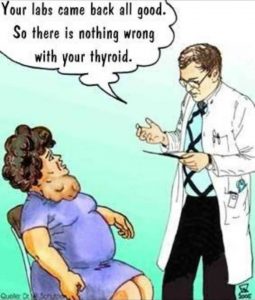 Paula Owens Thyroid Health and Hypothyroid (Part 1) 1