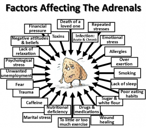 Paula Owens Adrenal Fatigue: Root Causes & Symptoms 1