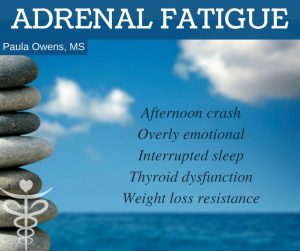 Paula Owens Adrenal Fatigue: Root Causes & Symptoms 2