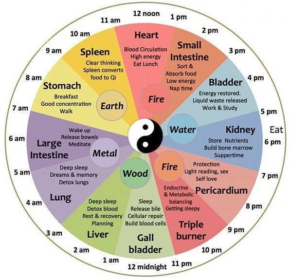 Tradidional Chinese Medicine Meridian Clock