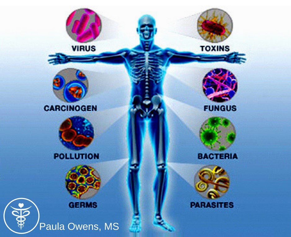 Boost Your Immune System Naturally - Autoimmune Disease: Paula Owens, MS