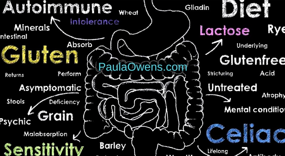 Gluten Intolerance - Paula Owens, MS