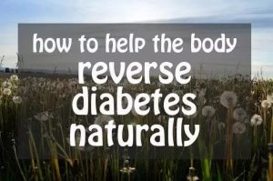 Paula Owens How to Reverse Diabetes Naturally
