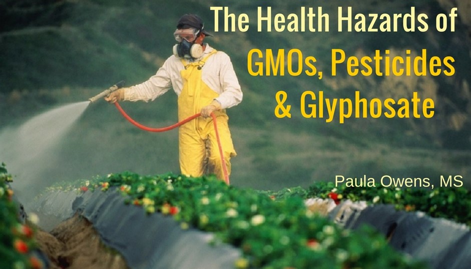 The Health Hazards of GMOs, Pesticides & Glyphosate