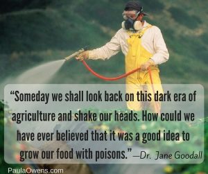 Paula Owens The Health Hazards of GMOs, Pesticides & Glyphosate 1