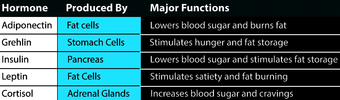 Weight Loss and Fat-Burning Hormones - Paula Owens, MS