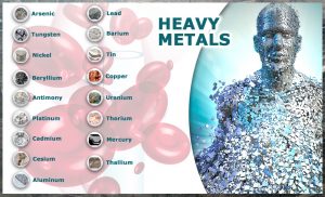 Paula Owens Heavy Metal Toxicity: Sources, Signs & Symptoms