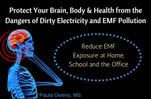 Paula Owens Dirty Electricity: Tips to Reduce EMF Exposure 3