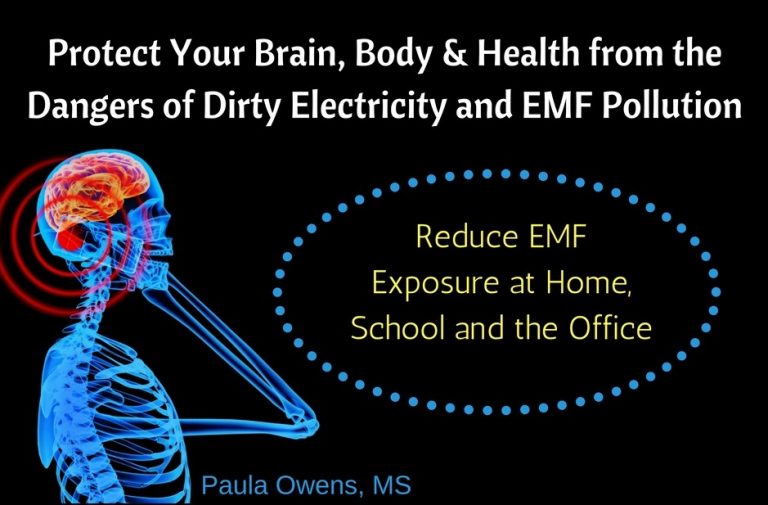 Dirty Electricity Tips to Reduce EMF Exposure Paula Owens