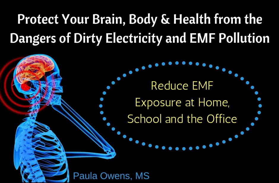 EMF Pollution Dirty Electricity