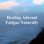 Adrenal Fatigue: How to Recover Naturally