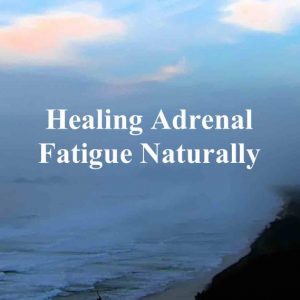 Adrenal Fatigue: How to Heal Naturally - Paula Owens, MS Holistic Nutritionist and Functional Health Practitioner