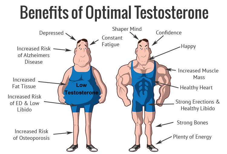 Benefits of Optimal Testosterone - Paula Owens, MS Holistic