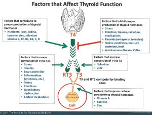 Paula Owens Thyroid Health & Hypothyroid (Part 2) 3