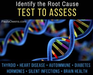 Identify the Root Cause: Test to Assess