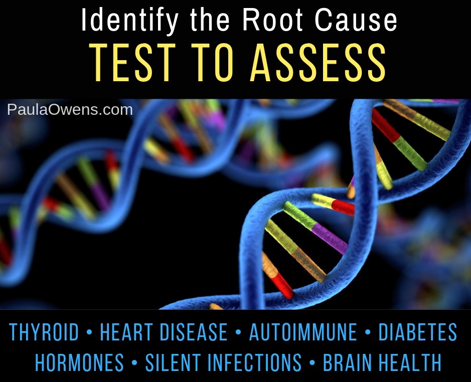 Identify the Root Cause: Test to Assess 