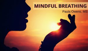 Paula Owens Controlled Breathing: Mindful Breathing Exercises