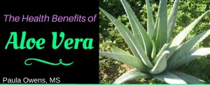 Paula Owens The Health Benefits of Aloe Vera