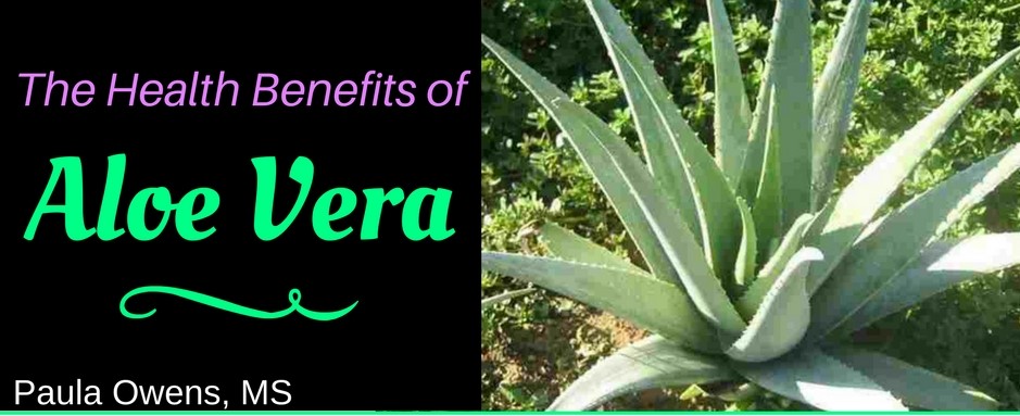 Aloe Vera - Paula Owens, MS Holistic Nutritionist and Functional Health Practitioner