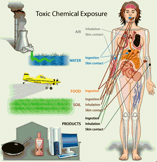 Just How Toxic Are All the Manmade Chemicals in Our Bodies?