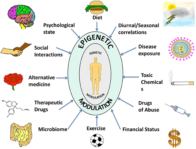 Epigenetics - Paula Owens, MS