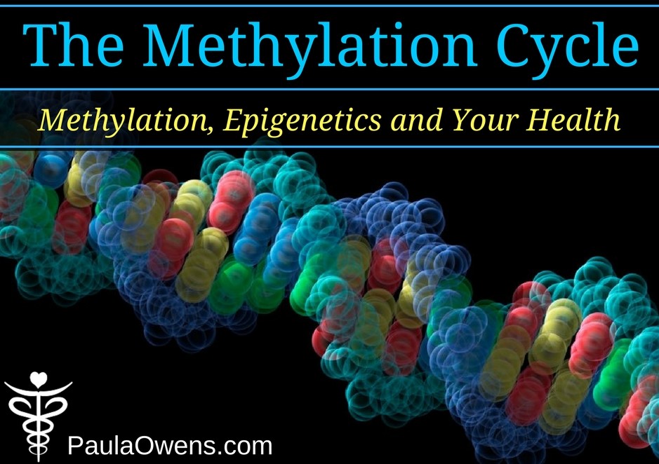 Methylation, Epigenetics and Your Health - Paula Owens, MS