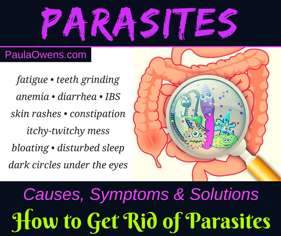 Parasites: Causes, Symptoms and Solutions - Paula Owens, MS