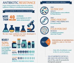 Paula Owens The Best Natural Antibiotics 4