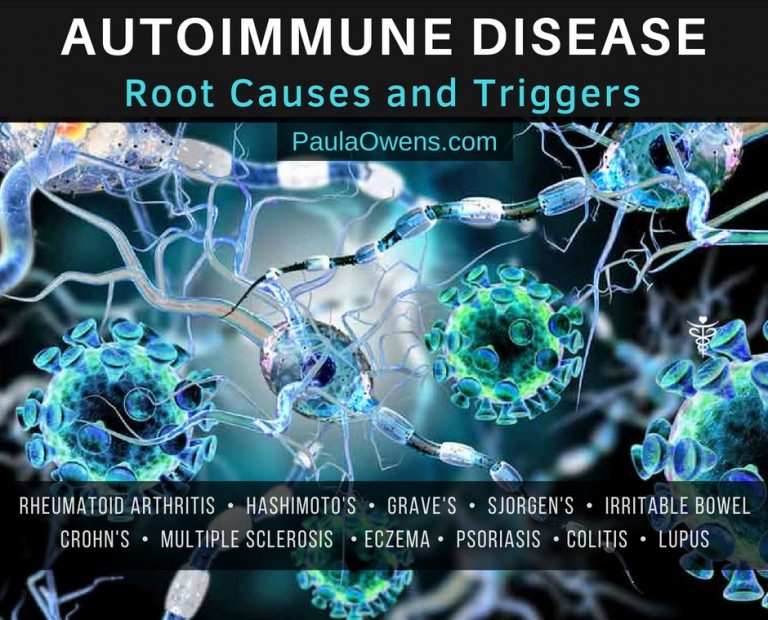 Autoimmune Diseases Root Causes And Triggers Paula Owens Ms