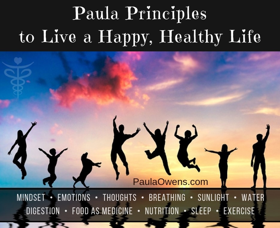 Paula Principles for a Healthy Life ⃒ Paula Owens, MS