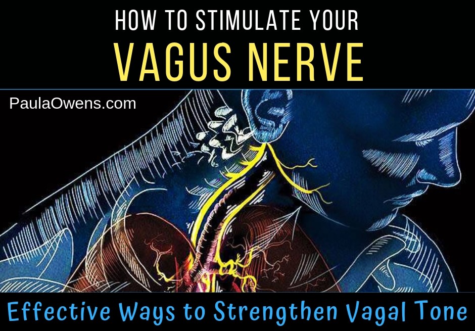 Vagus Nerve - Vagal Tone