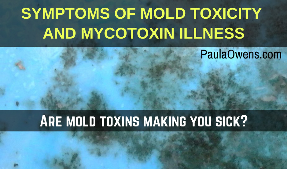 Mold Toxicity: Symptoms, Sources & Solutions to Detox - Paula Owens, MS